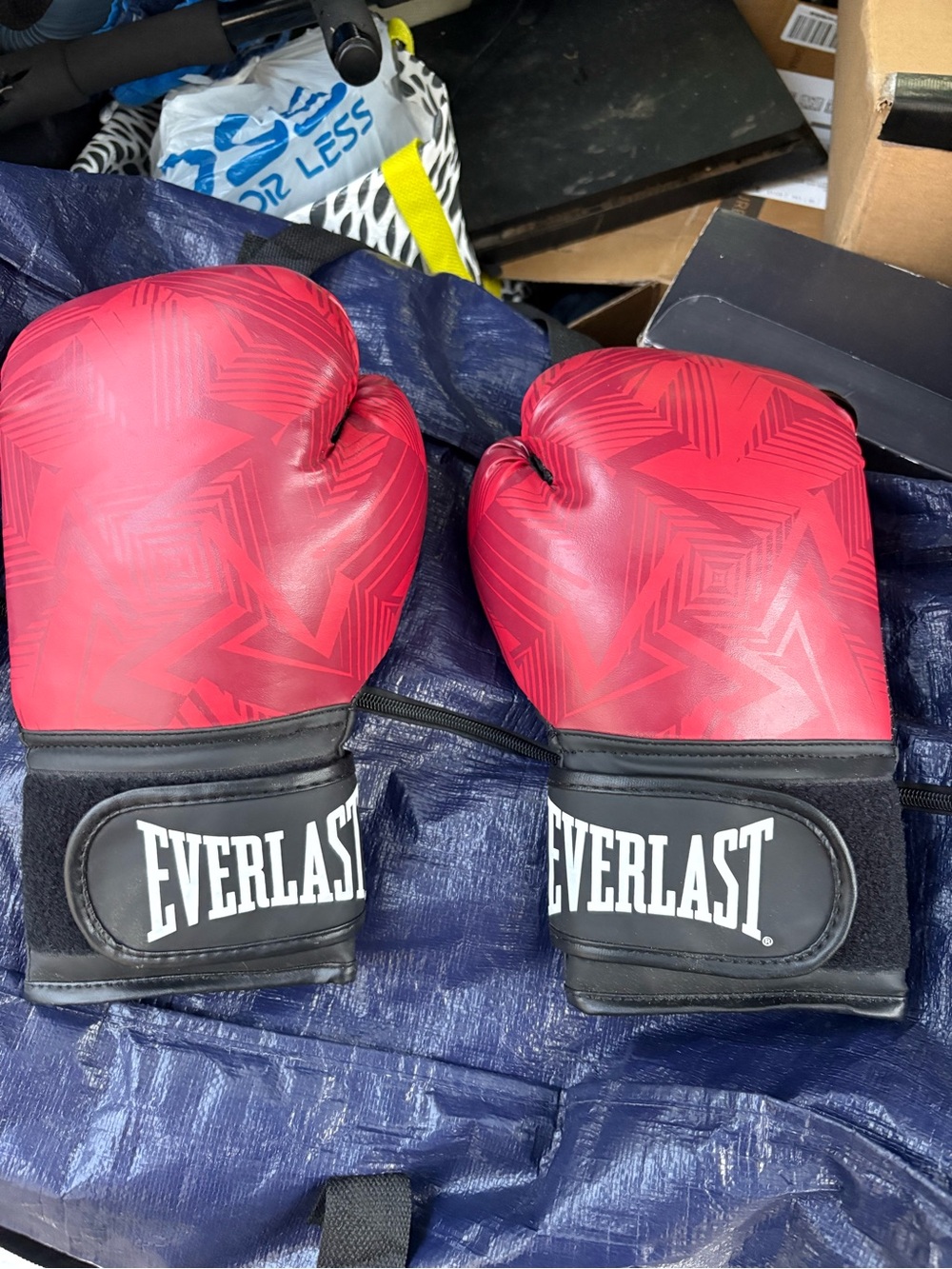 Everlast Gloves